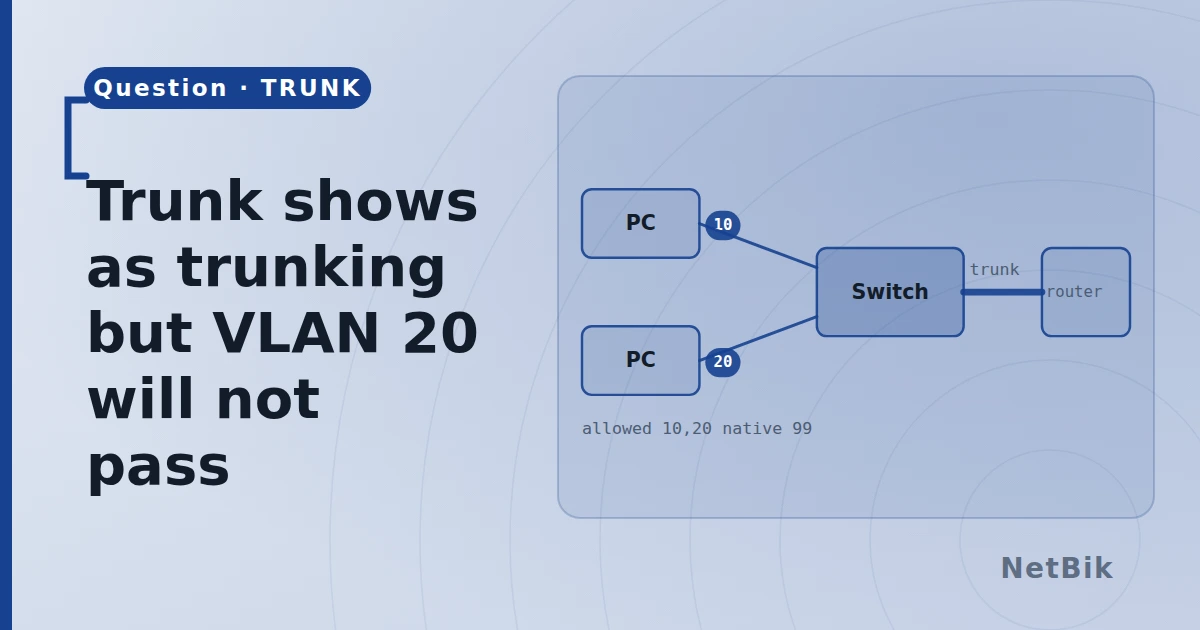 Trunk shows as trunking but VLAN 20 will not pass